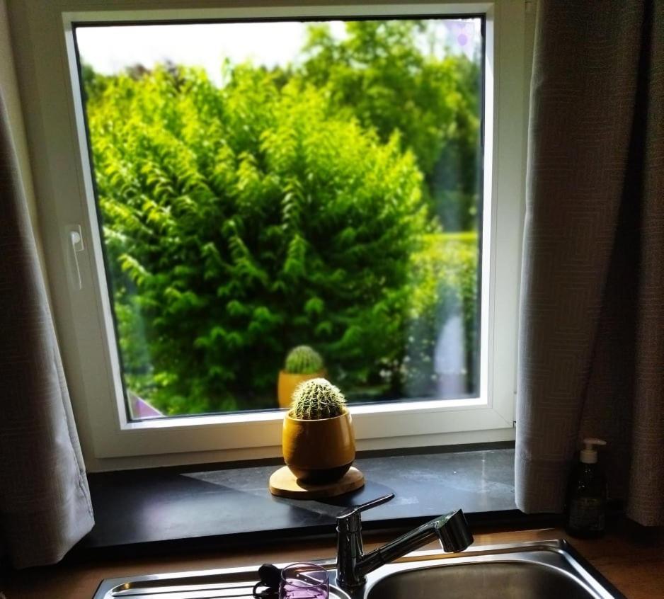 Le Clos Des 3 - Vacances Avec Vue En Ardennes A 5 Kilometres De La Roche - Maison De 90 M2 Avec Chambres - Avec Magnifique Jardin Rendeux Eksteriør bilde