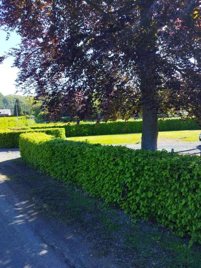 Le Clos Des 3 - Vacances Avec Vue En Ardennes A 5 Kilometres De La Roche - Maison De 90 M2 Avec Chambres - Avec Magnifique Jardin Rendeux Eksteriør bilde